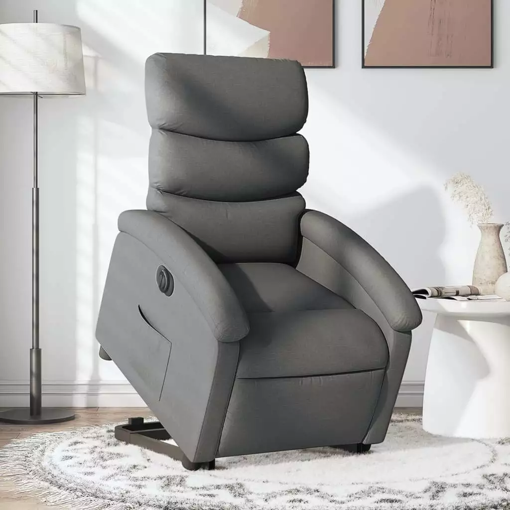 vidaXL Electric Stand Up Recliner Chair Dark Gray Fabric - Power Lift Recliner Seniors