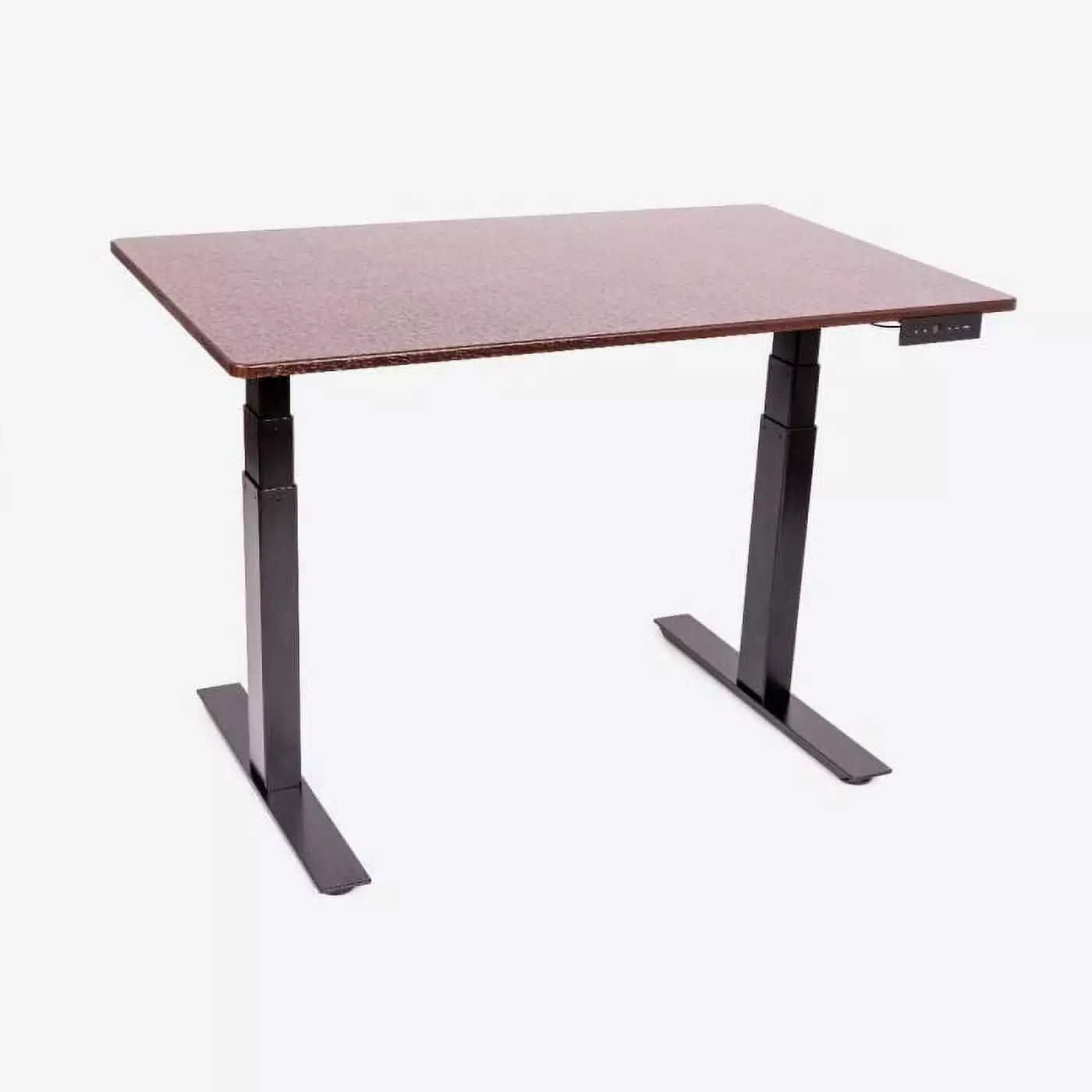 60 Inch Dark Walnut 3-Stage Dual-Motor Electric Standing Desk Adjustable Height Luxor