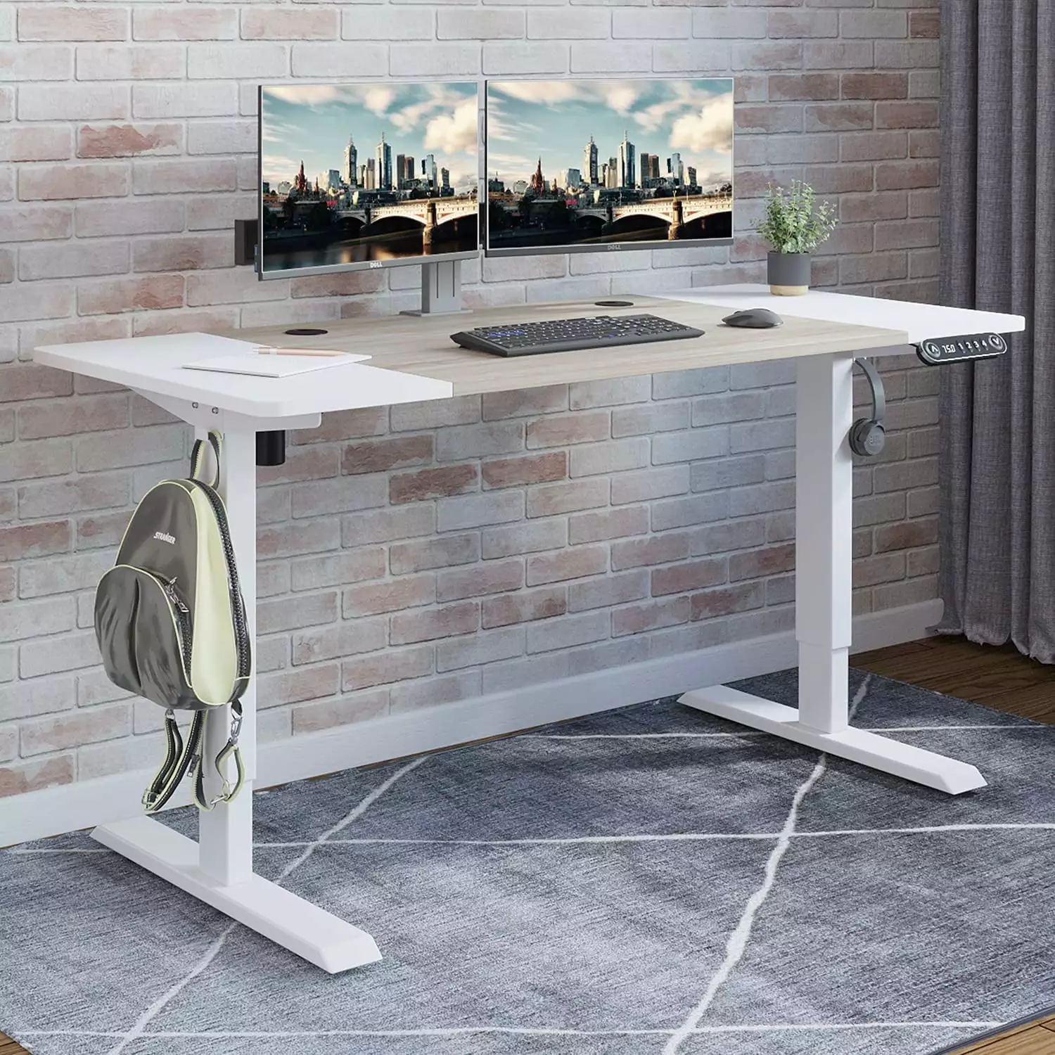 MXTARK 55 x 24 Stand Up Desk Electric Height Adjustable Standing Desk Ergonomic Desk White Frame